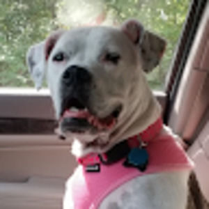 Meet your Posher, Deborah